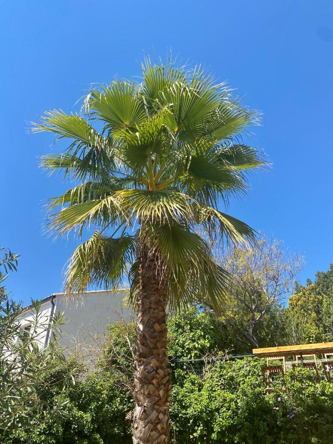 Gite Le Palmier - Perfectly Located Cosy Studio With Private Garden Puissalicon Exterior foto