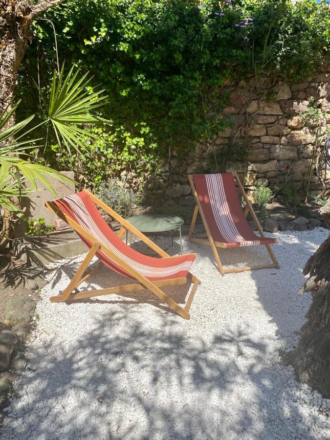 Gite Le Palmier - Perfectly Located Cosy Studio With Private Garden Puissalicon Exterior foto